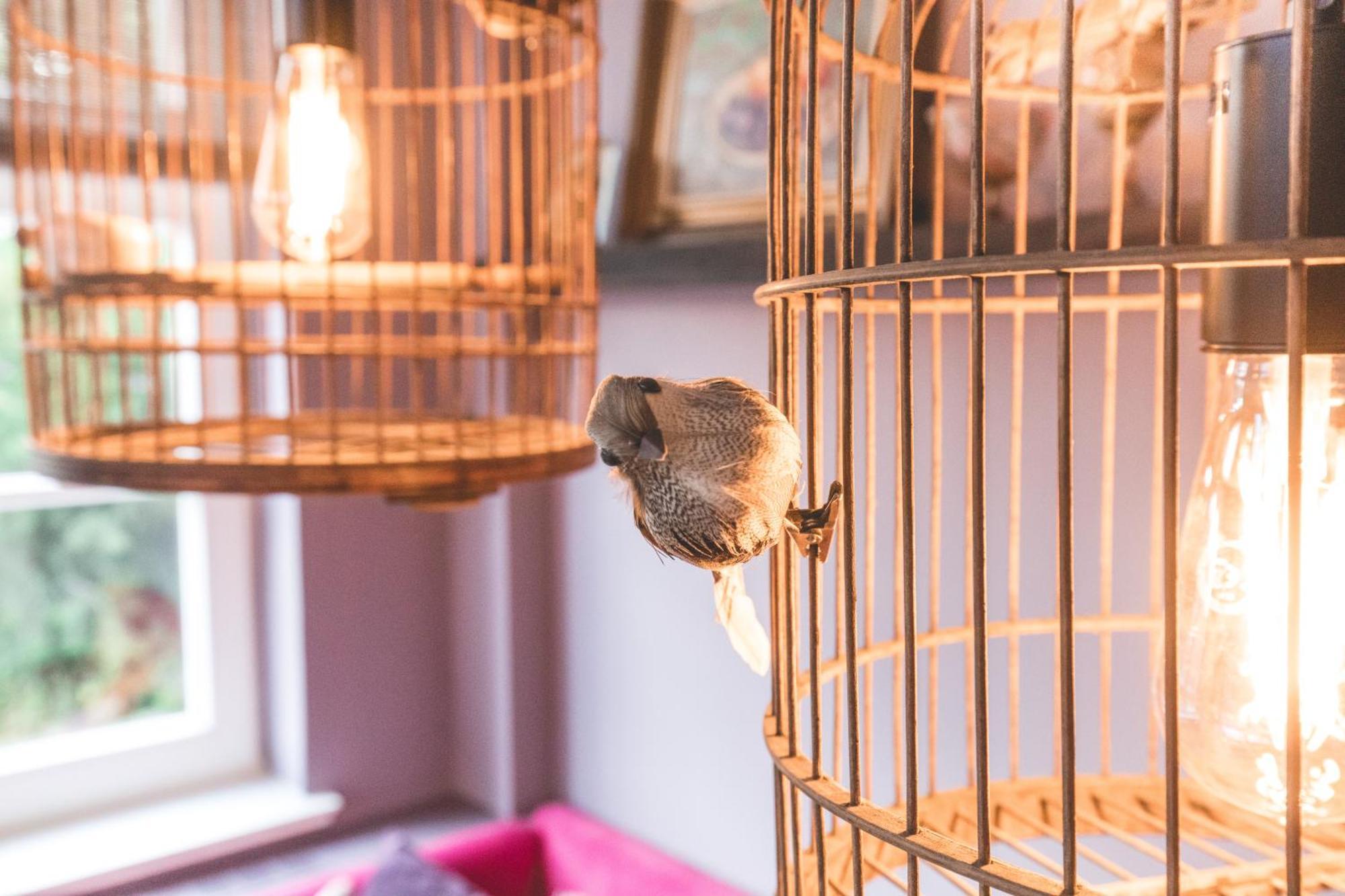 Saltbloom Apartments リューネブルク 部屋 写真